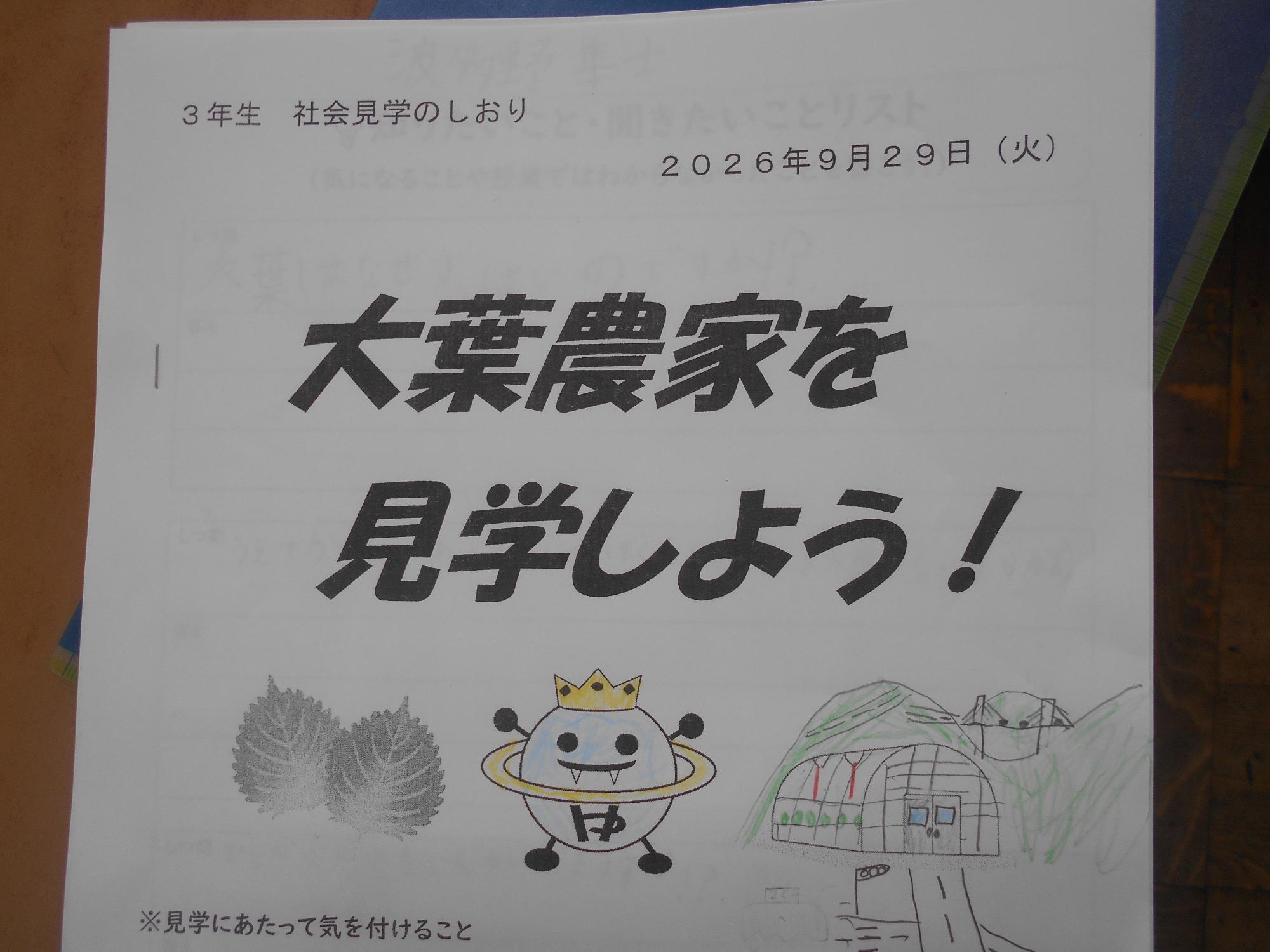 大葉農家の見学について