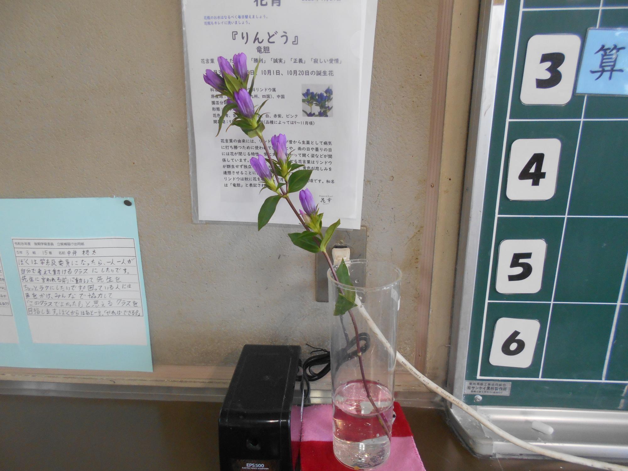 教室に飾ります。