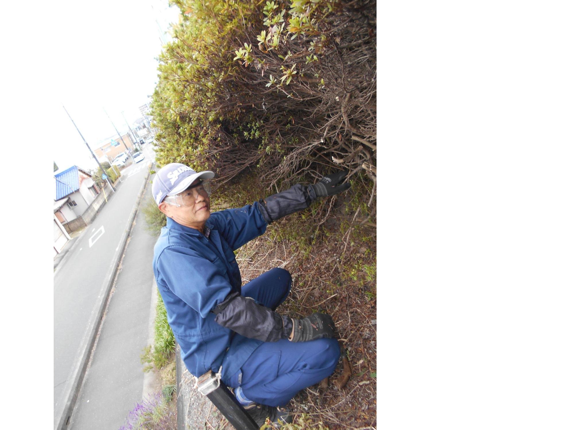 草刈りボランティア