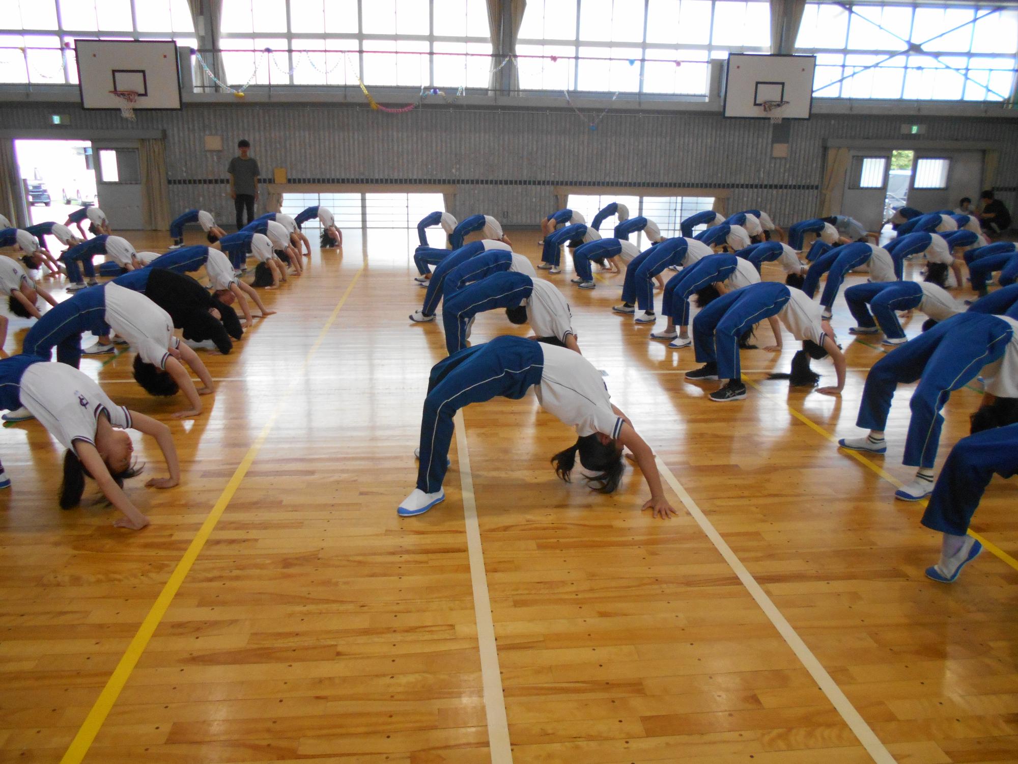 ブリッジに挑戦します。