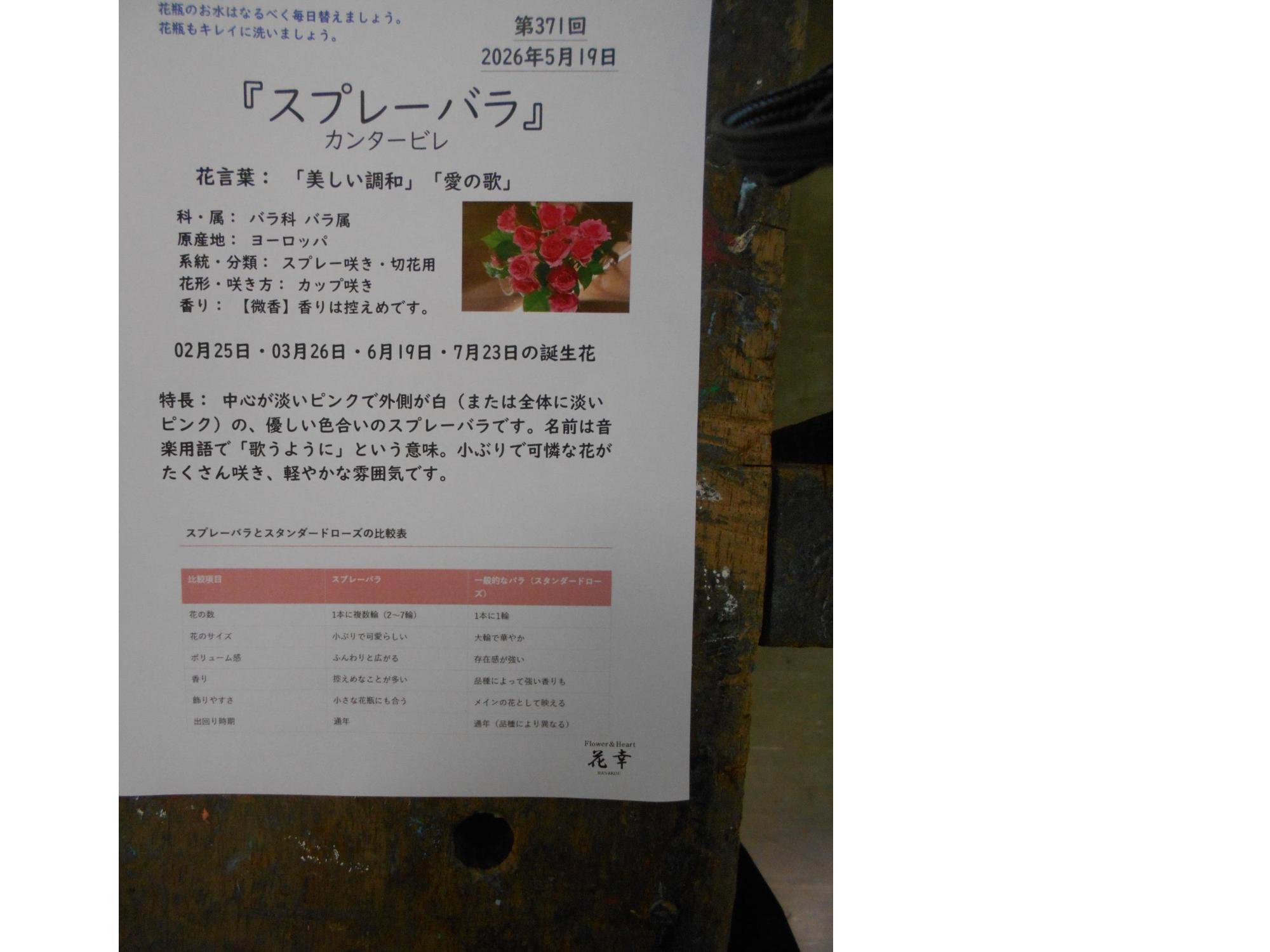 説明のプリントもいただきました。