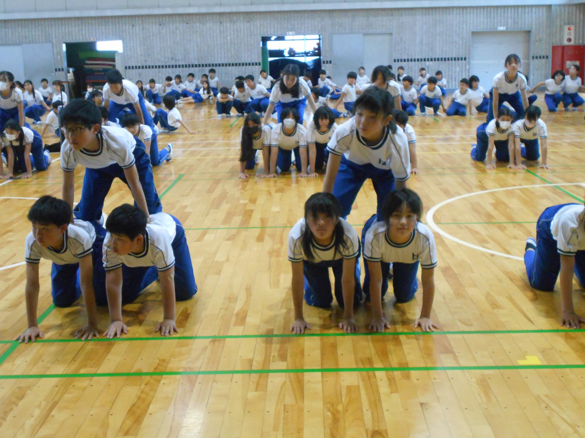 どうですか。私たちの技は。