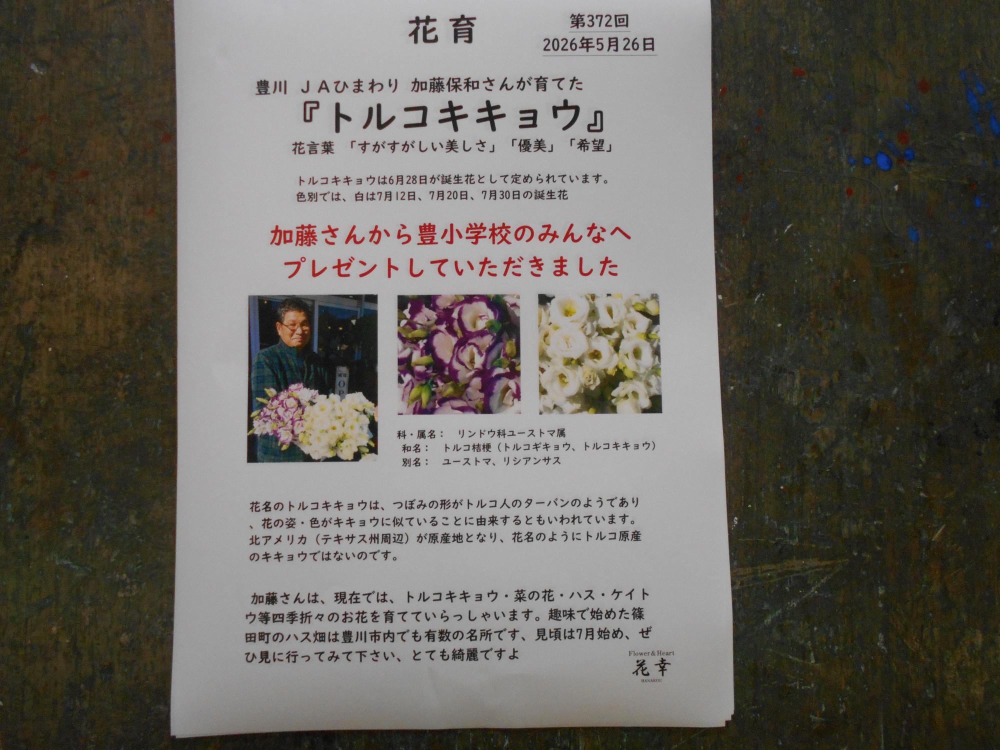 花の説明です。