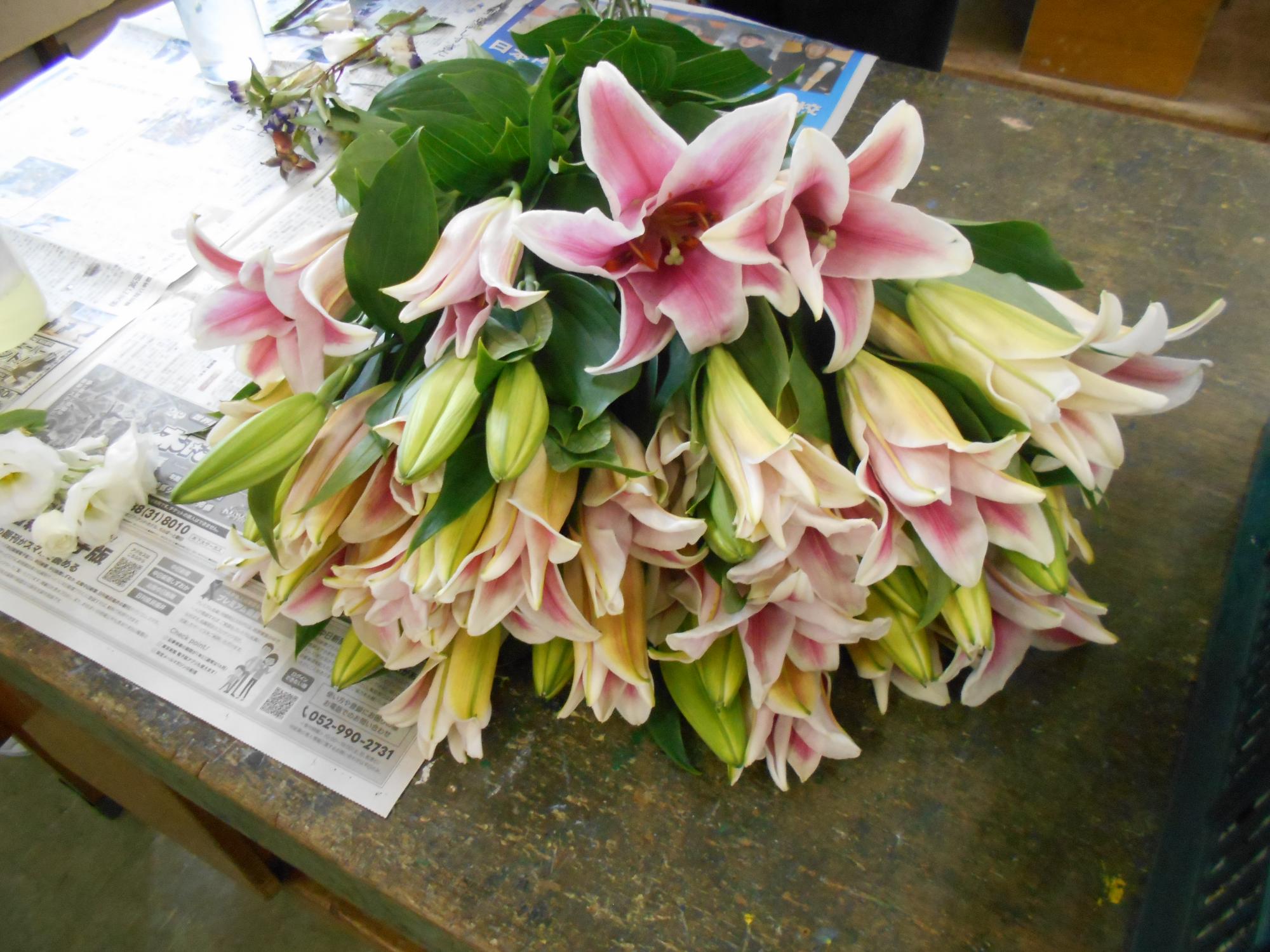 今日の花です。