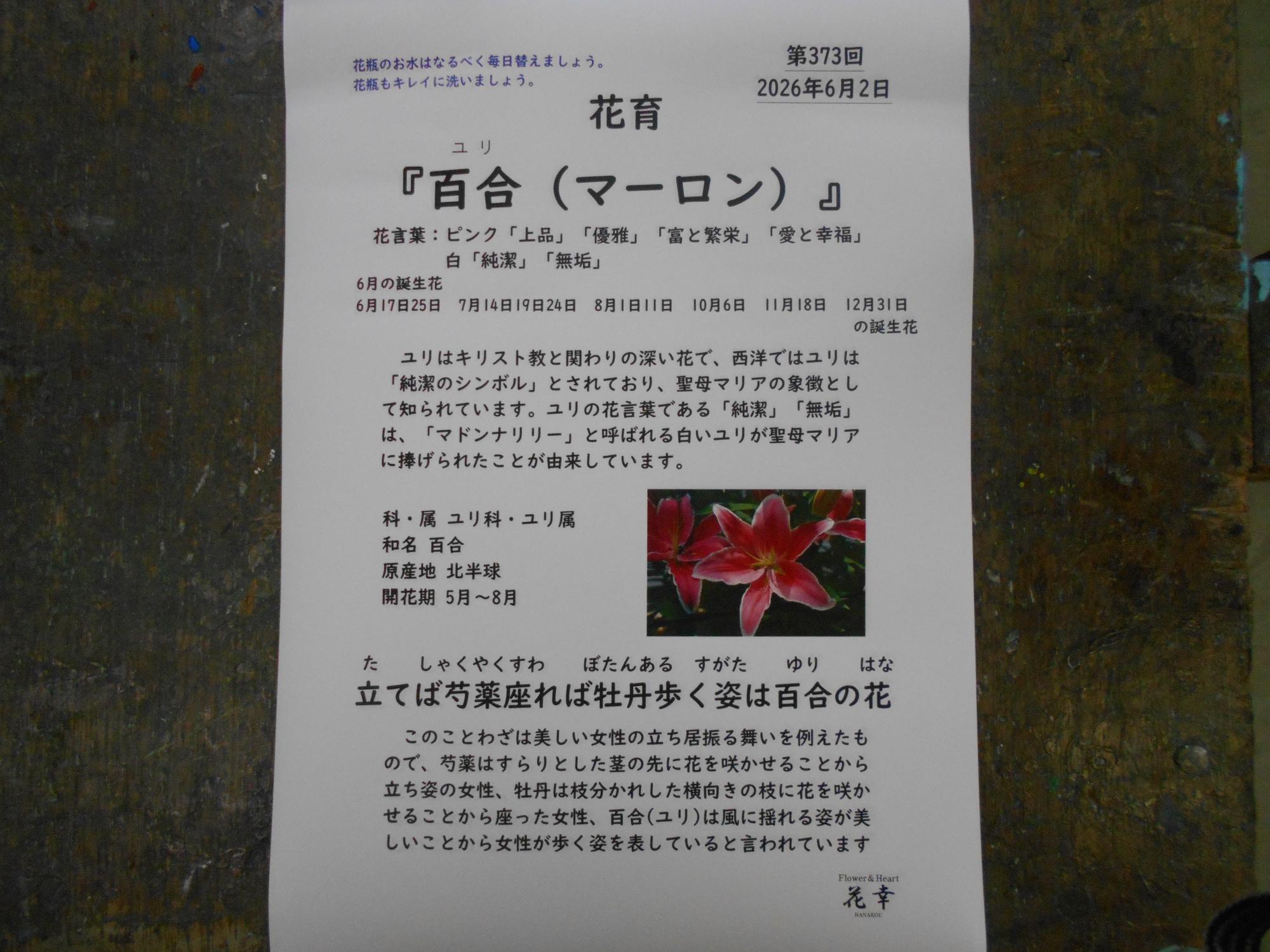 花の説明書までいただけます。