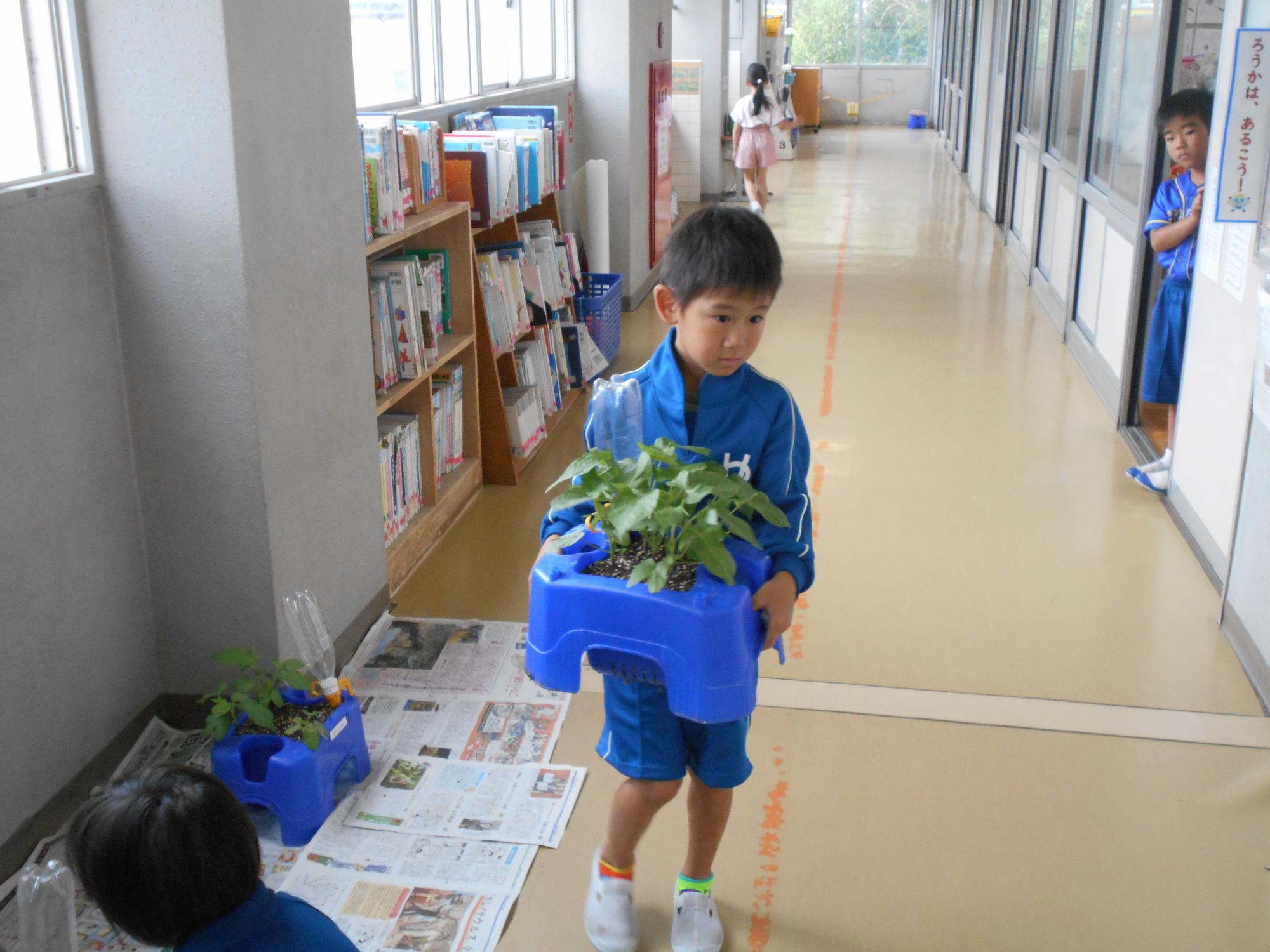外へ運びます。