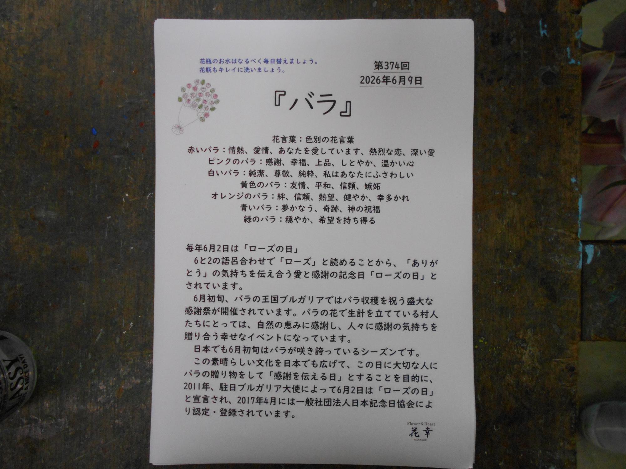 バラの花の説明書もいただきました。