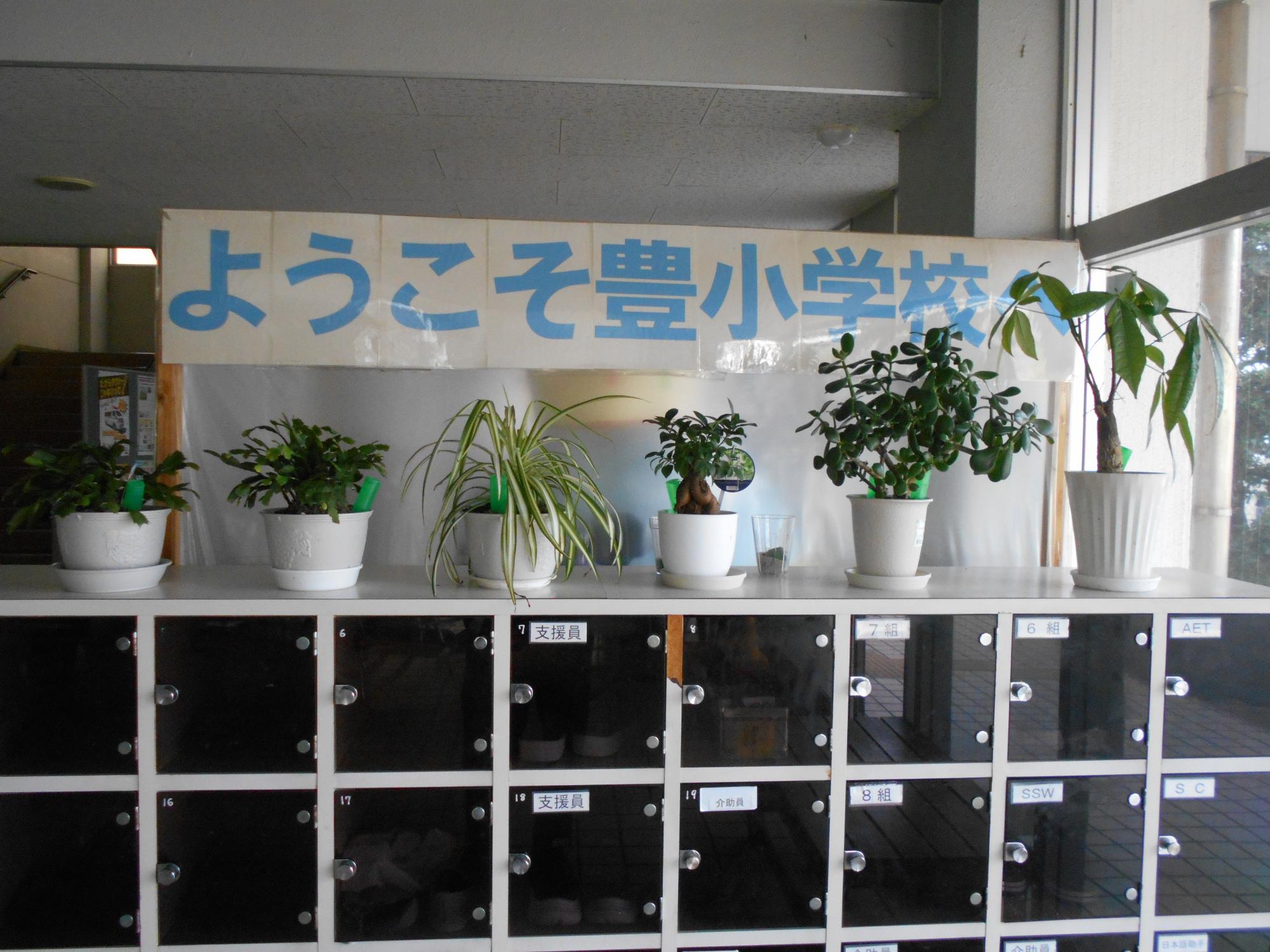 右手には観葉植物を飾っています。