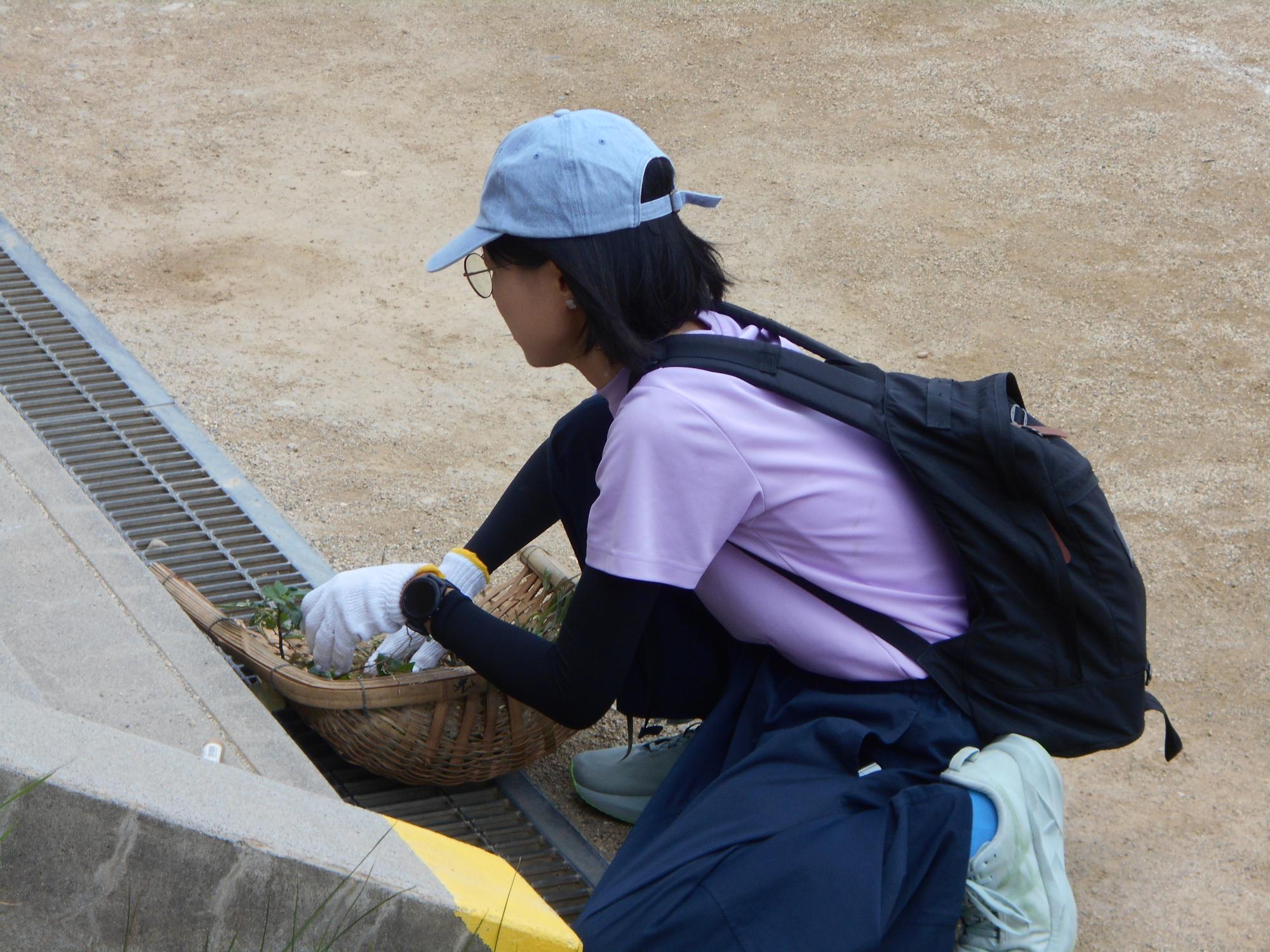 落ち葉、ゴミもとってくれます。