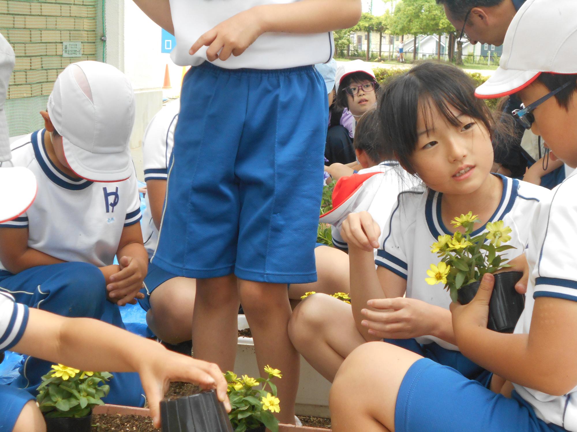 楽しそうに植えます。