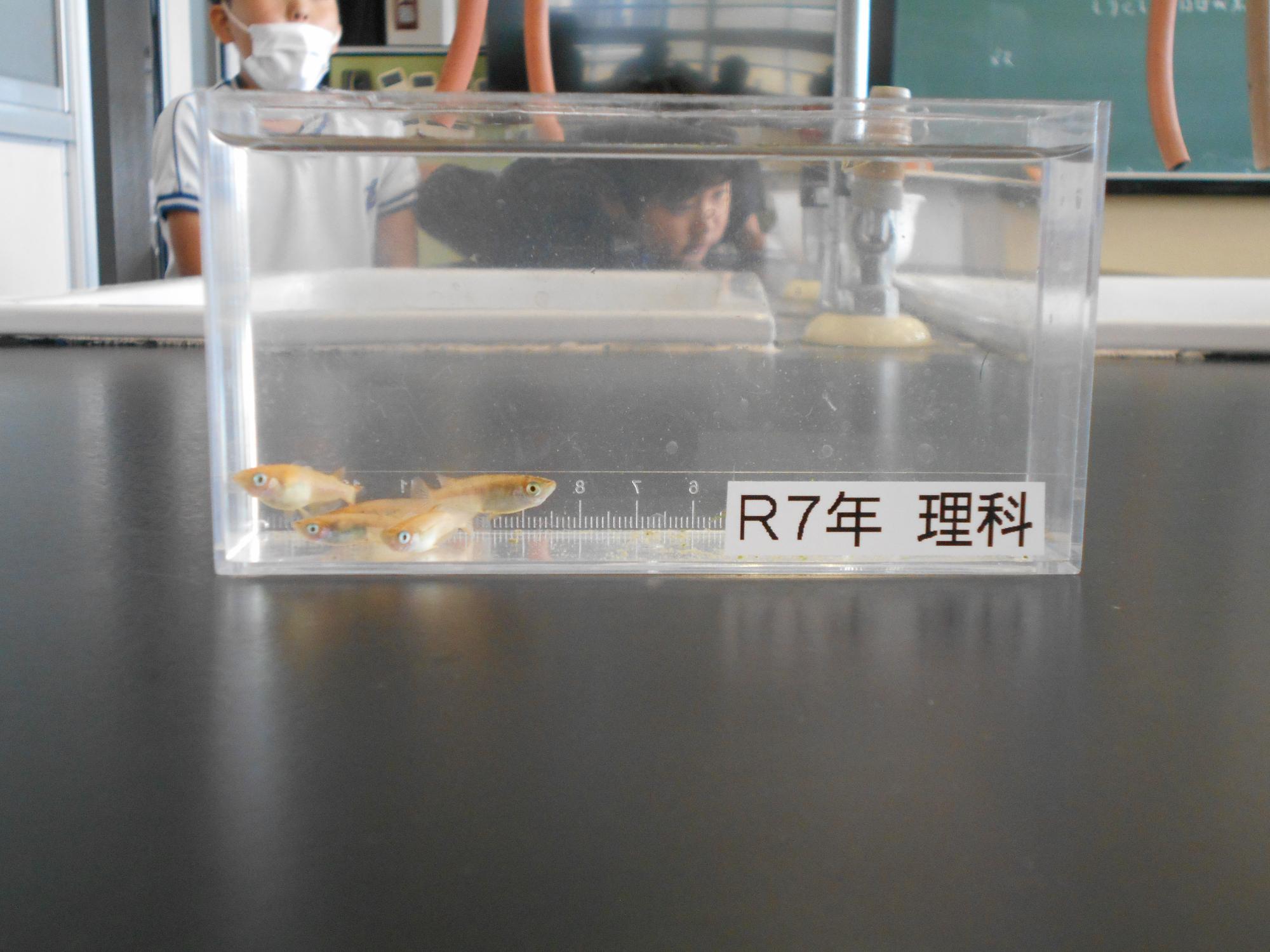 班別で観察をします。