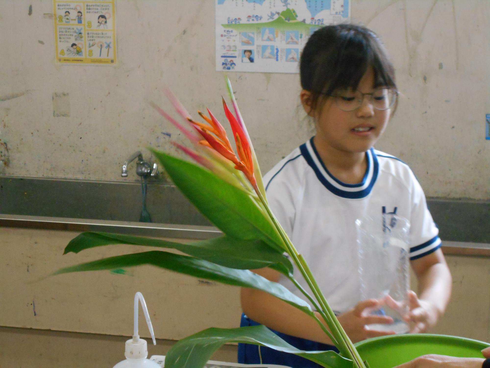 栽培委員の子が活動します。
