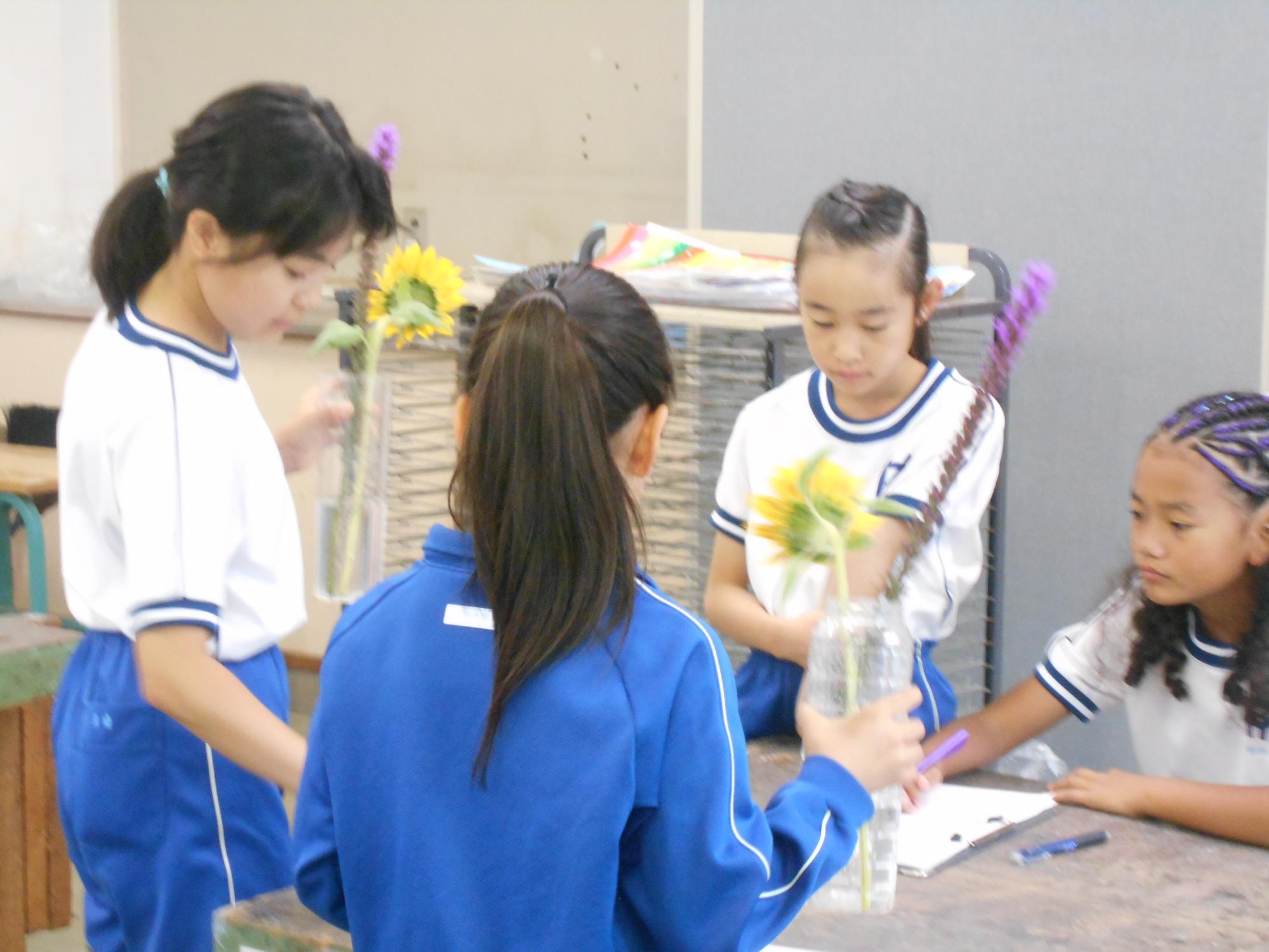 栽培委員が確認をします。