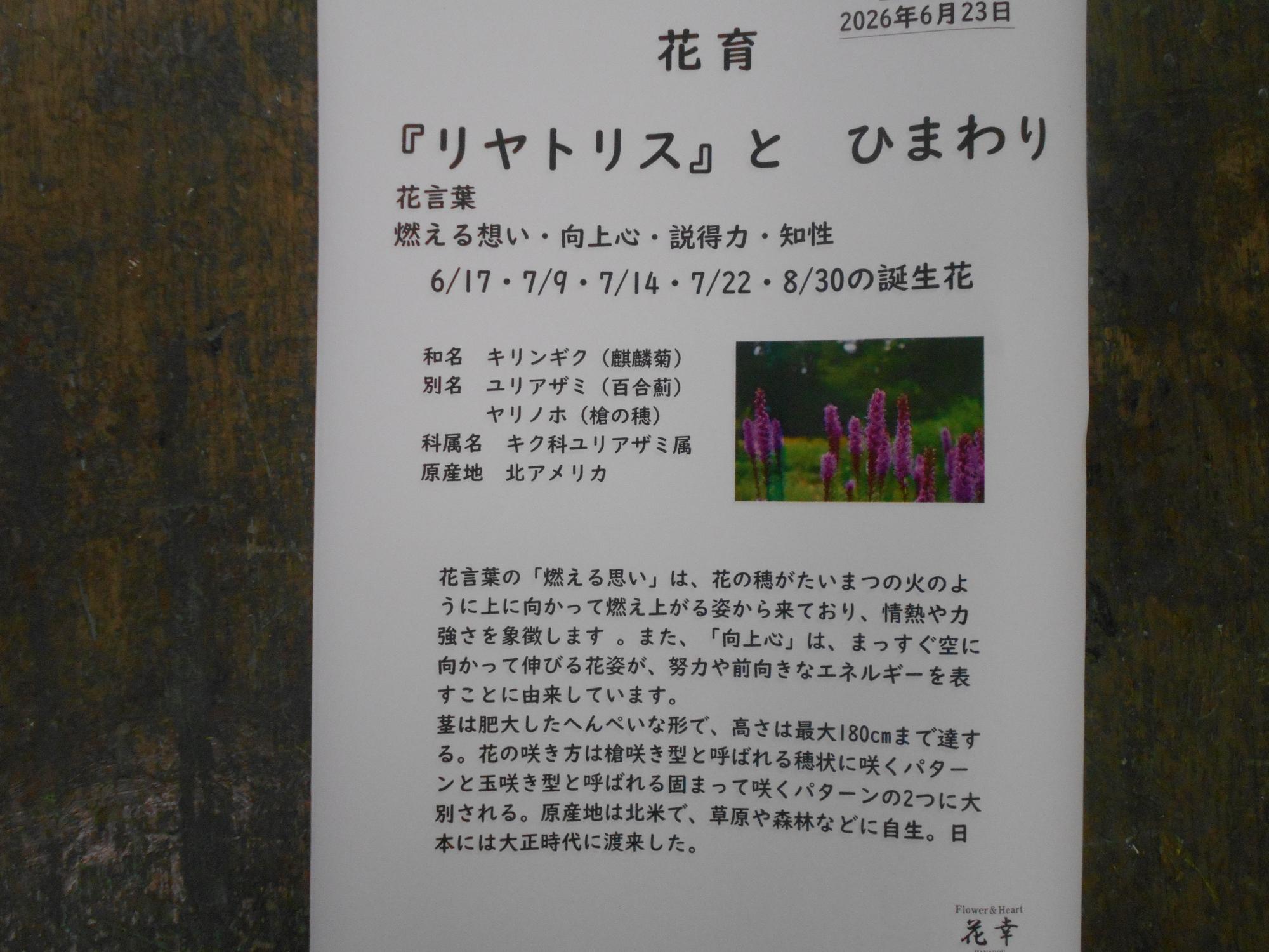 花の説明書もくれます。