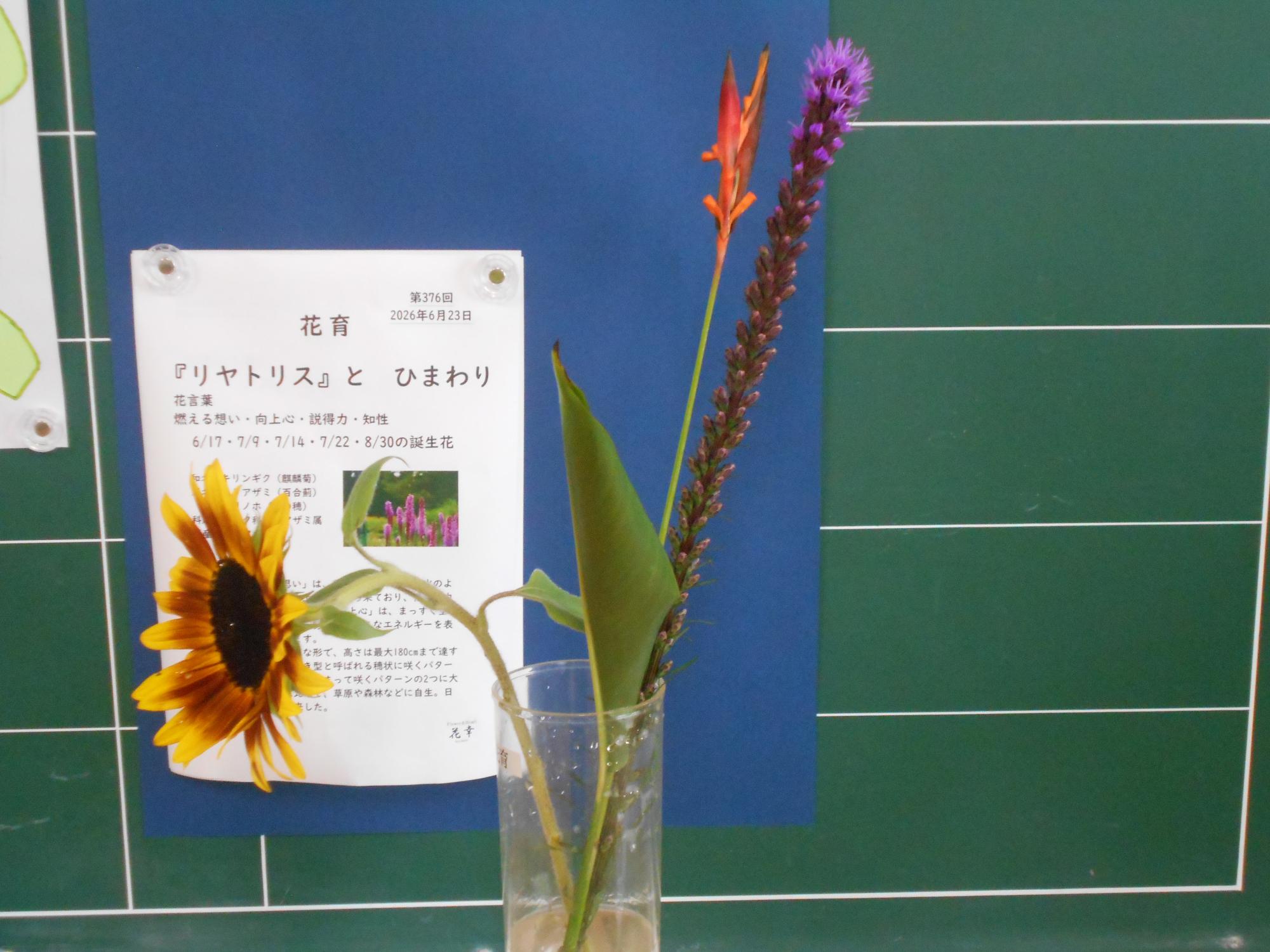 教室に色を添えてくれます。