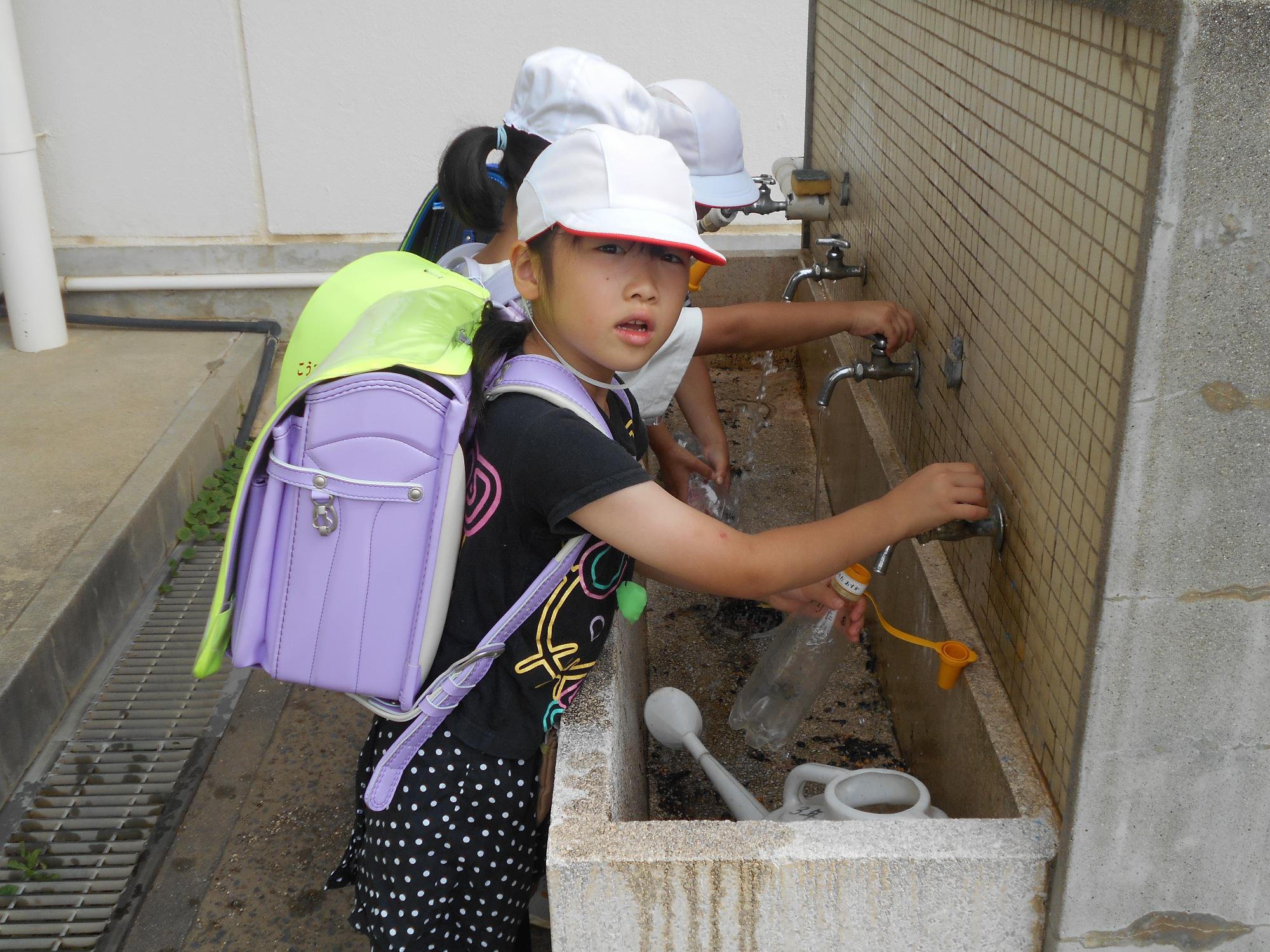 水を入れます。