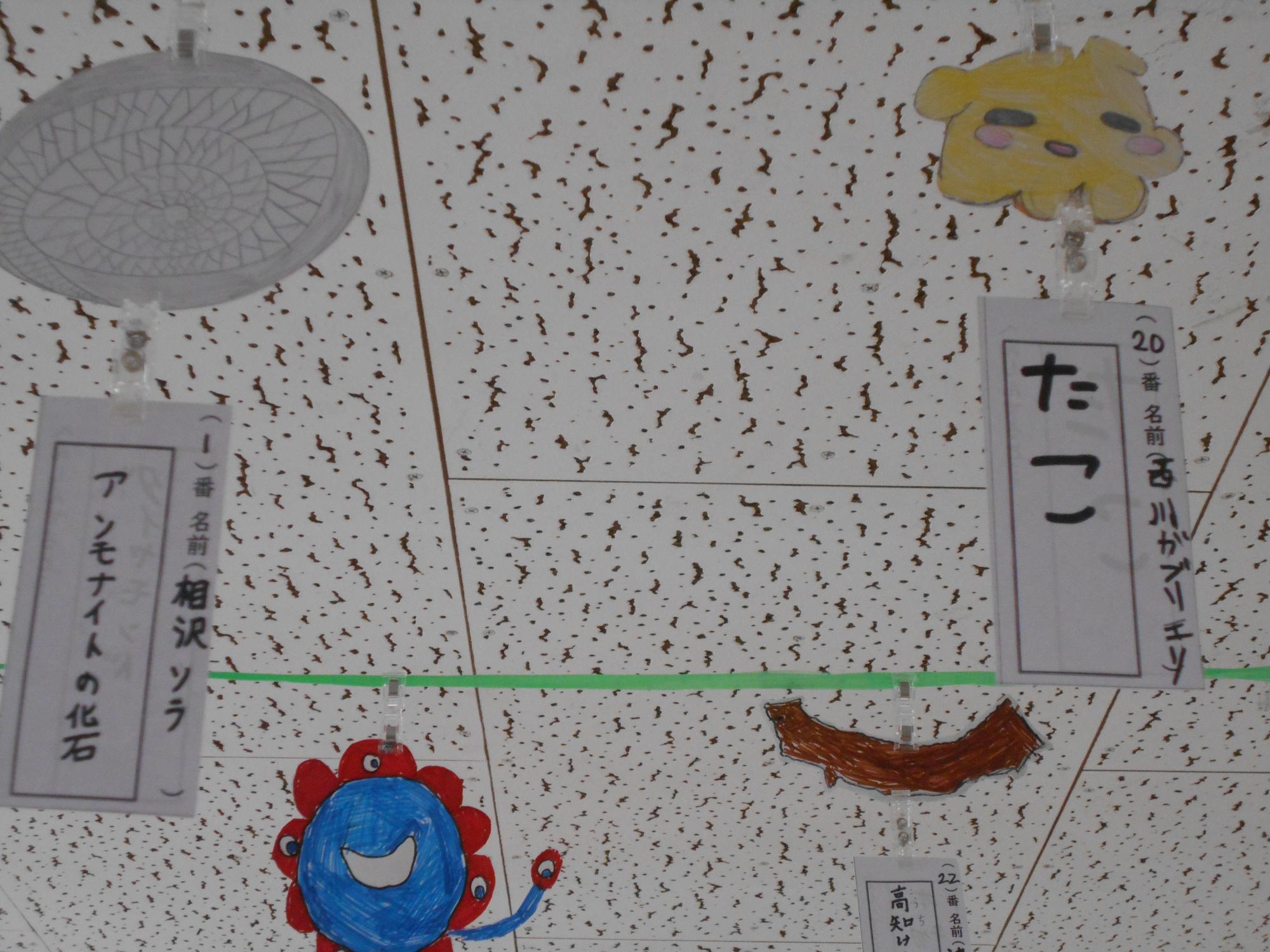たこ、アンモナイトの化石などたくさんあります。