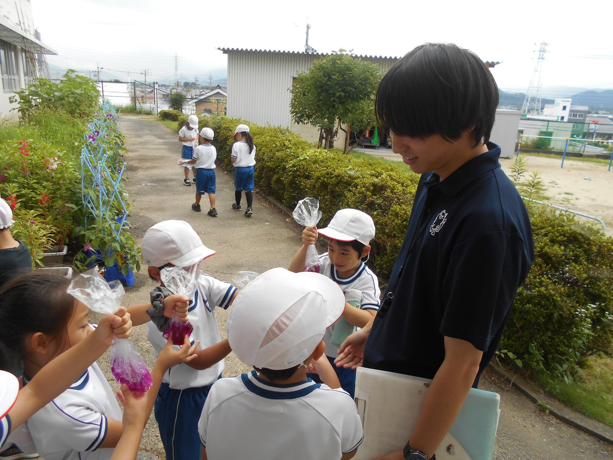 先生見てください。