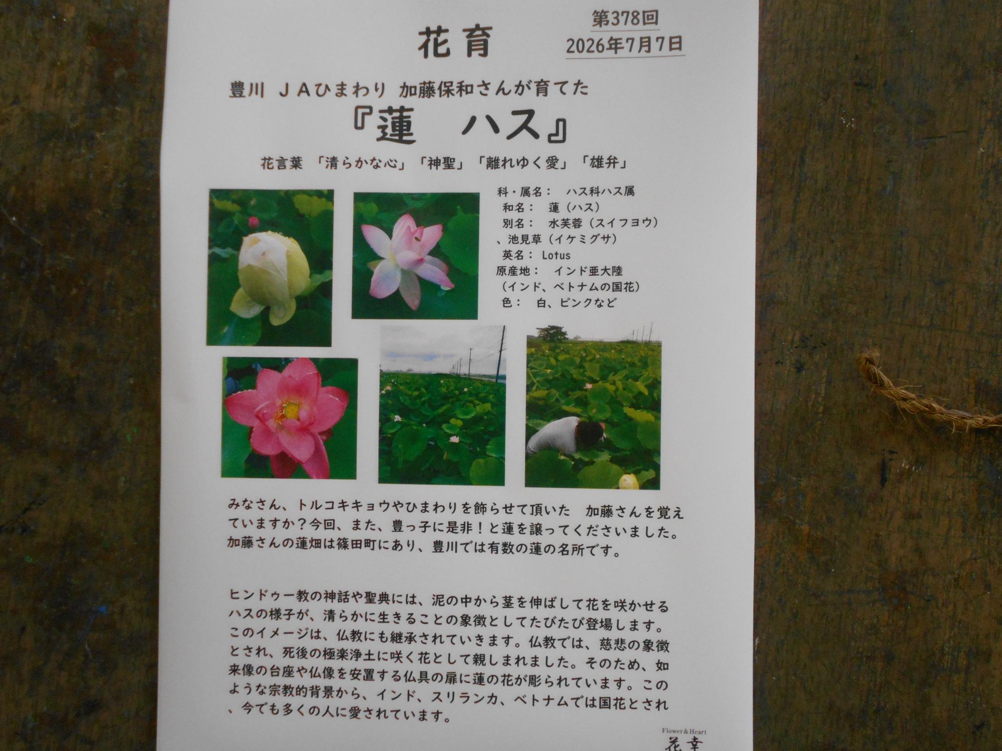 花の説明もくれました。