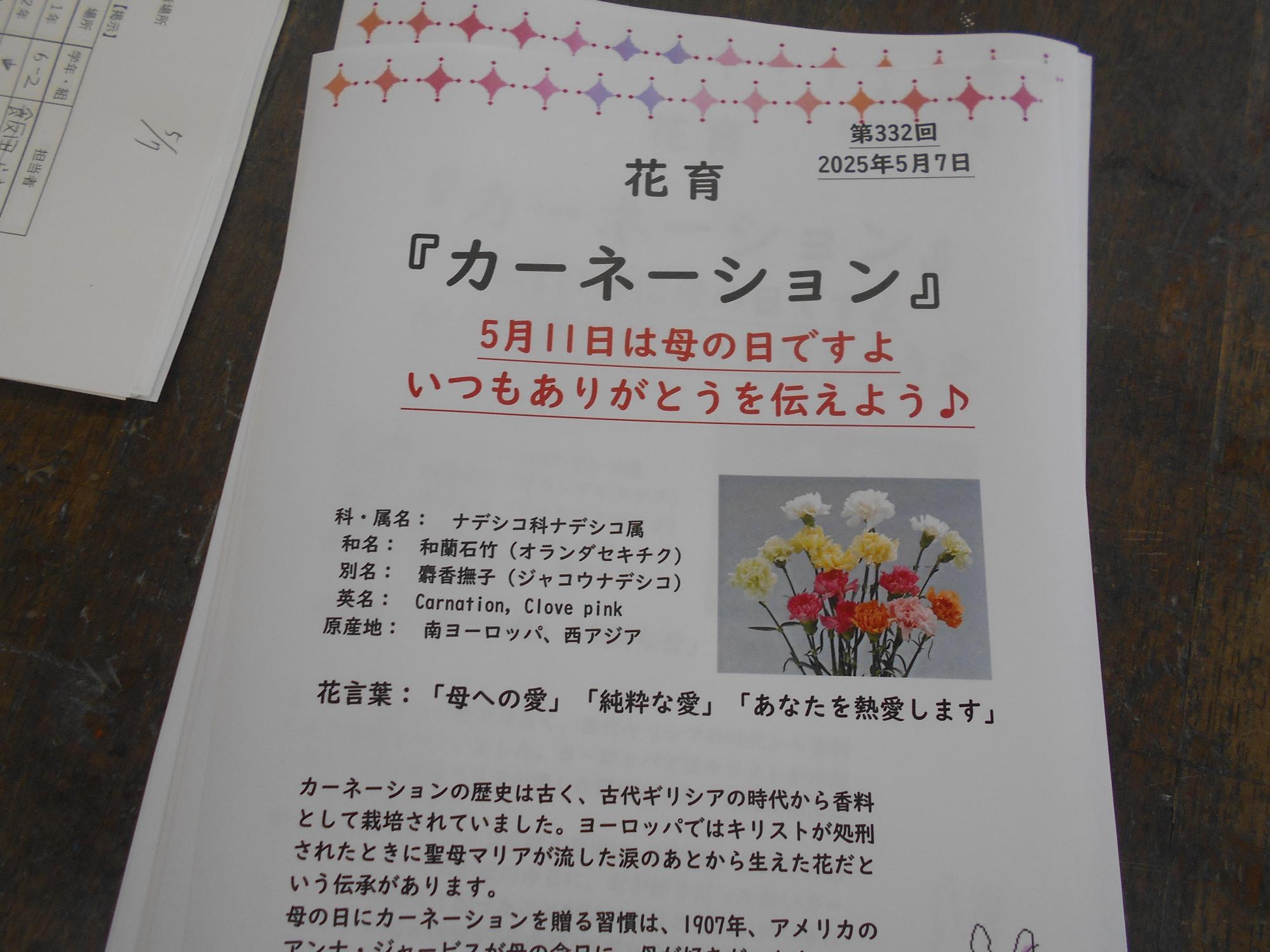 チラシ