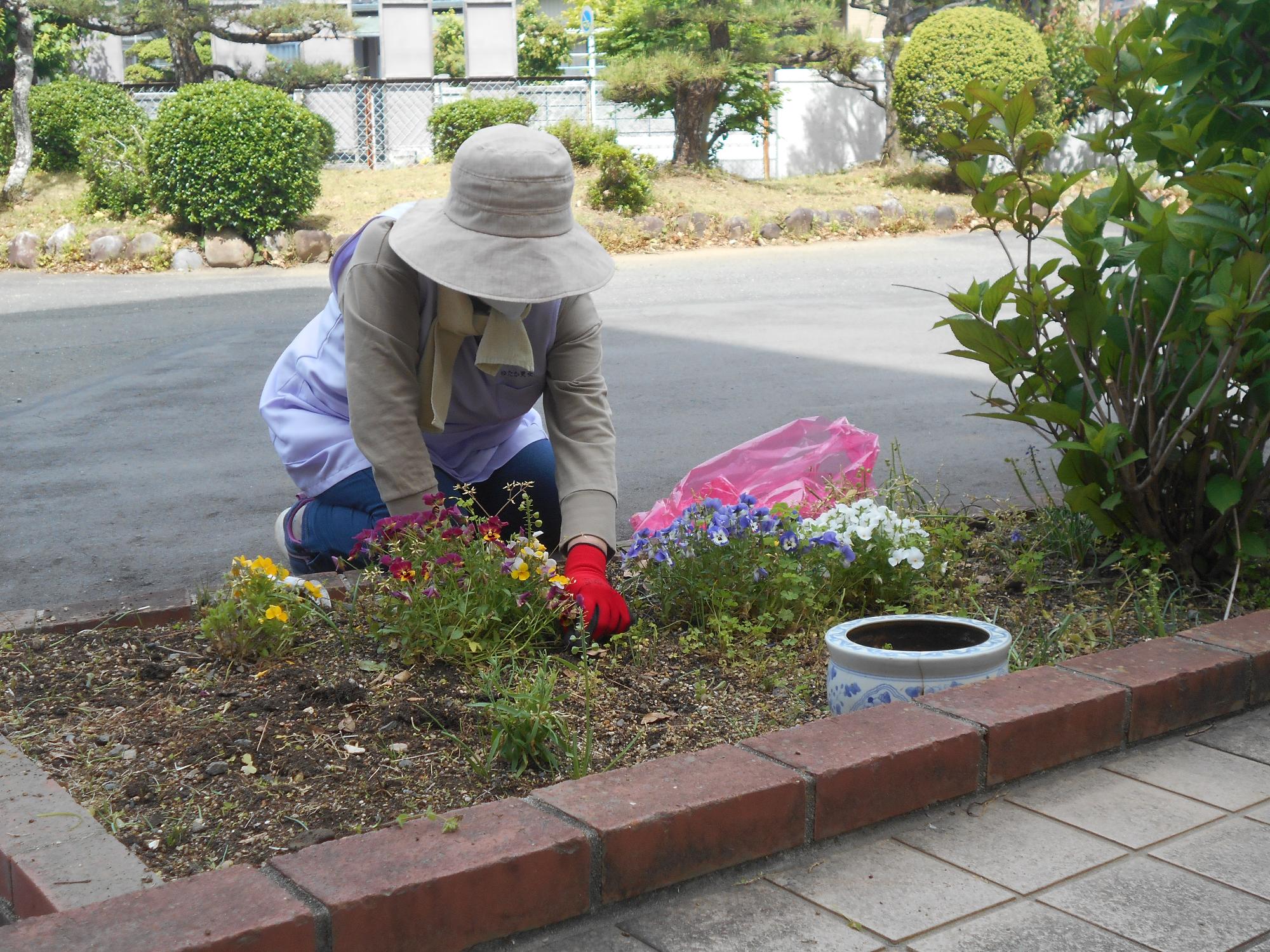 草取り