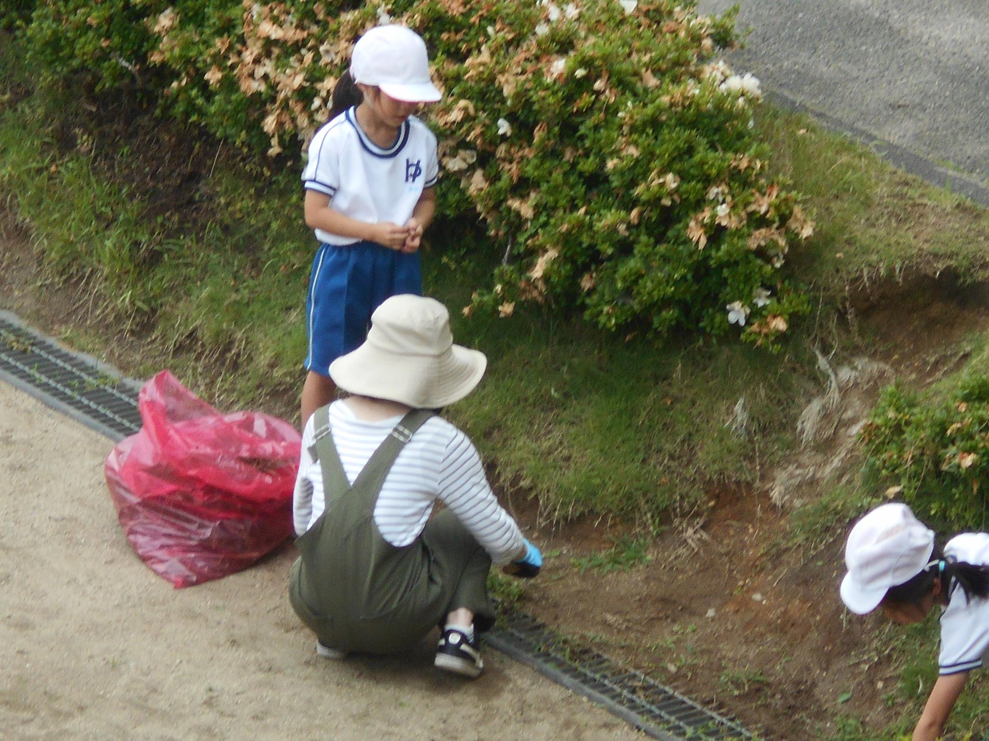 草取り