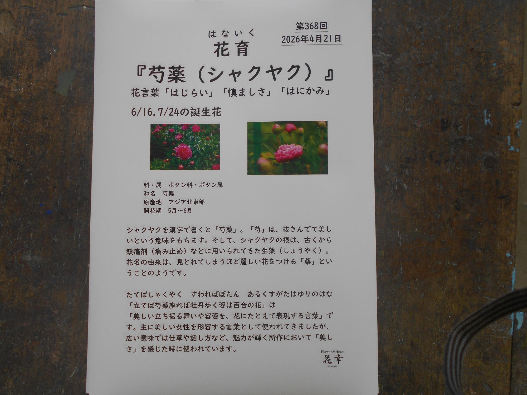 花の説明も掲示用にいただけます。