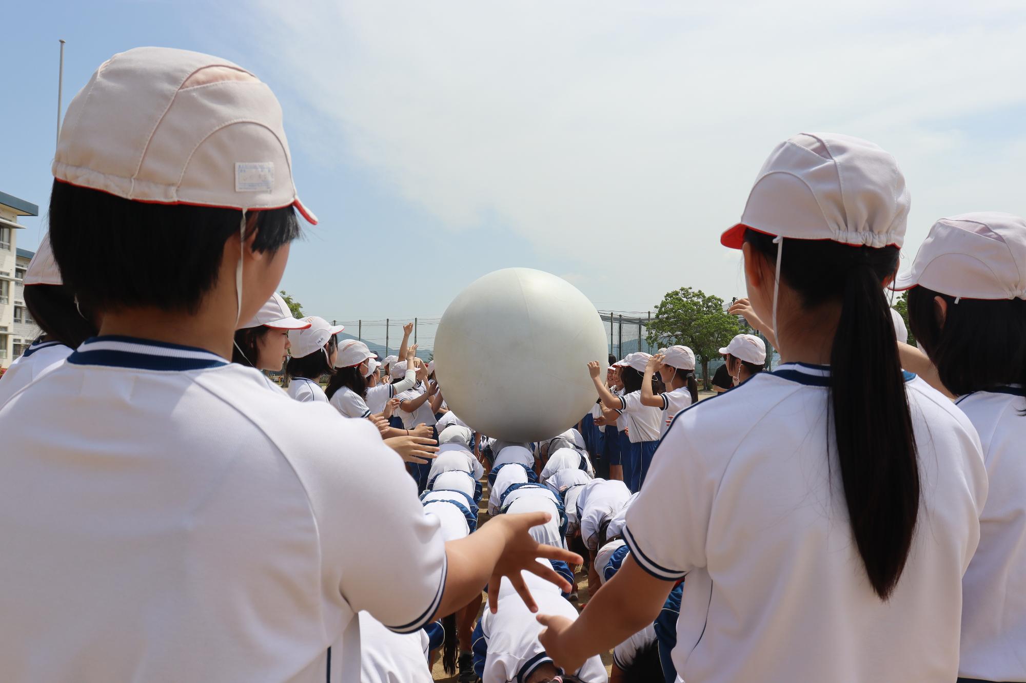 白組も上手に運びます。