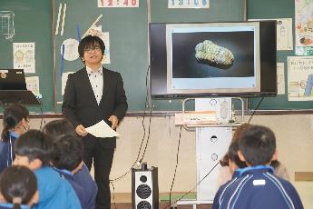 生きるために、いろいろな形に進化した三葉虫