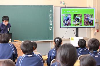 森林を守るためには、新たな苗木を植えないといけません