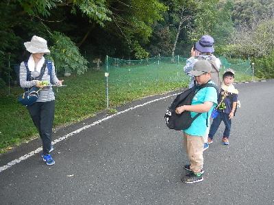 野鳥たちは暑くないのかな