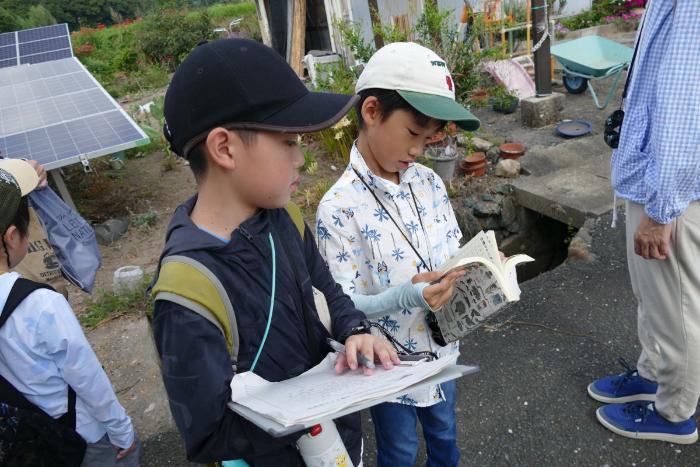 見つけた野鳥を図鑑でチェック