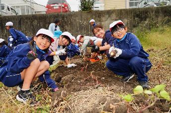 ゴロゴロ出てくるよ！