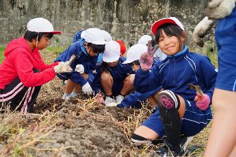 暑さに負けず育ったんだね！