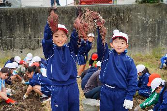 芋 とったどー！
