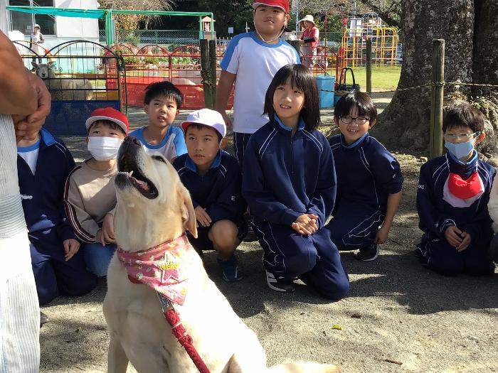 かしこいレトリバー