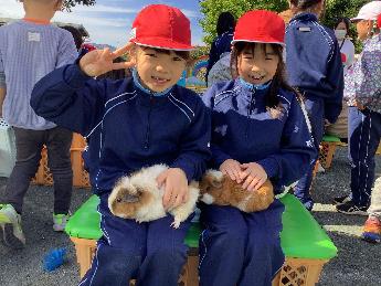 もふもふでかわいかったよ