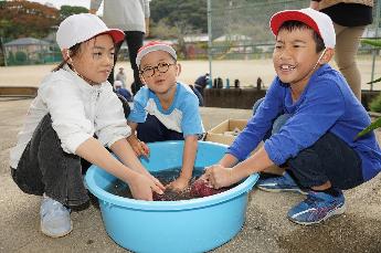 お芋を洗います