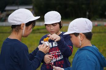 ちょっと味見をしてみよう！