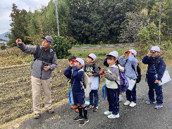 トビの大軍を発見！