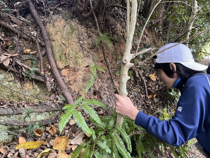 こんなところに巣を作るんだね！