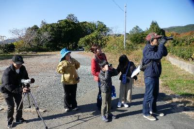 ジョウビタキだ！