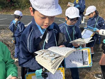 発見した野鳥はすぐに図鑑で調べます