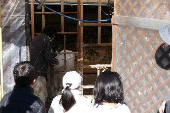 龍源寺のヤギのメイコさん