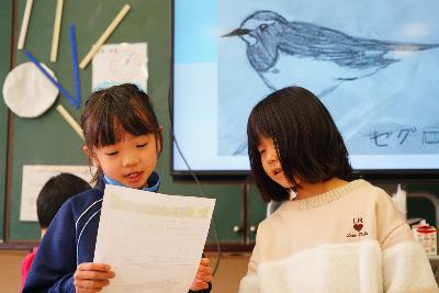 セグロセキレイとハクセキレイはいつもいます