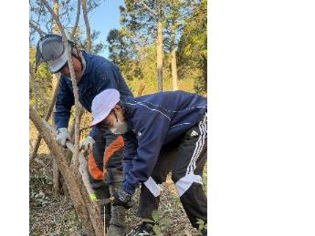 生木なので切るが大変