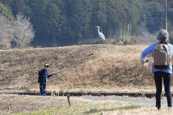 とても近くで観察できました