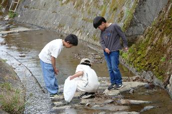 帰りに水場で生物観察