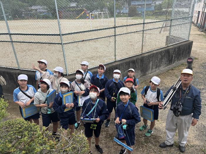 スズメとコシアカツバメが隣り合わせで巣をつくっています
