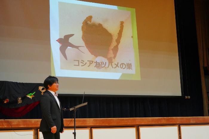 コシアカツバメは田んぼかから泥を持ってきて巣を作ります